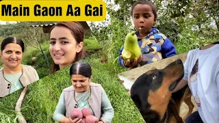 Main Chali Gaon || Hamara Apple Season Khatam || Mere Naam ki Band Baja Di || Jyotika Dilaik