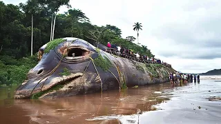 This New Terrifying Discovery In The Amazon SCARED SCIENTISTS!