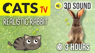 CATS TV - Realistic Rabbit 🐇 3 HOURS (Game for Cats to Watch)
