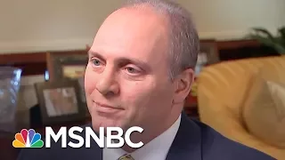 Steve Scalise On Tax Reform: 'Failure Is Not An Option' | MTP Daily | MSNBC