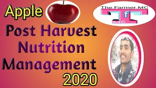 Apple Post Harvest Nutrition Management🍎🍎🍎