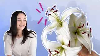 How to Make a White Asiatic Sugar Lily // Mother's Day Cake with Sugar Flowers // Part 2