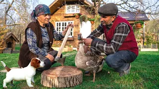 Cooking Rustic Goose with Potatoes, Outdoor Cooking