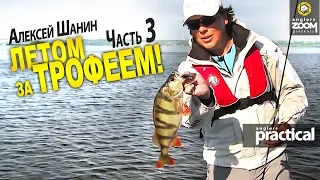 Летом за трофеем! Часть 3. Щука и окунь на минноу. Алексей Шанин. Anglers Practical