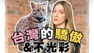 連美國人都關心台灣石虎瀕臨滅絕｜台灣唯一原生貓科動物