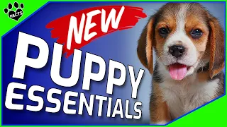 What to Prepare for New Puppy - Essentials List - Dogs 101