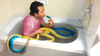 Man Bathes With Snake Every Night, Until Doctor Shows Him What's Inside