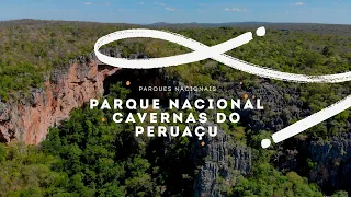 PARQUE NACIONAL CAVERNAS DO PERUAÇU (PARQUES NACIONAIS)