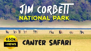 Canter Safari at Jim Corbett National Park, Dhikala 2023 - 4K Video Hindi