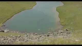 Lake MONSTER "Caught on tape" Italy 2015 (MUST SEE HD)