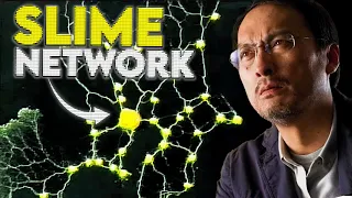 How a Slime Mold designed the Tokyo Railway System