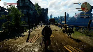 The Witcher 3 i3 8350k 4.8GHz + GTX 1660 Super