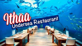 Ithaa Conrad Maldives - one of the best dining experiences in the world