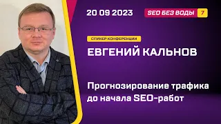 Прогнозирование трафика до начала SEO-работ -  Евгений Кальнов -SEO без воды 7