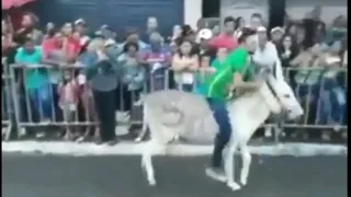 Very funny donkey race | funniest moments caught on camera compilation