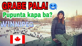 MOVE TO MANITOBA CANADA | FILIPINO IMMIGRANTS