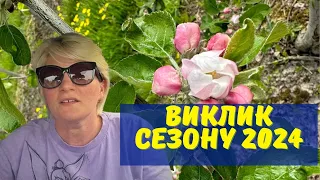 Врожай 2024: буде чи ні? Що з плодовою / генеративною брунькою?