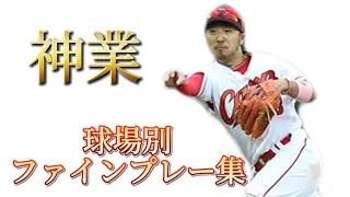 菊池涼介球場別ファインプレー集