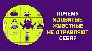 Edu: Почему ядовитые животные не отравляют себя?