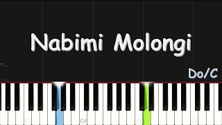 Moise Mbiye - Nabimi Molongi | EASY PIANO TUTORIAL BY Extreme Midi