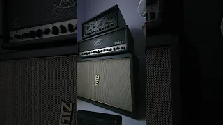 Peavey 6534+