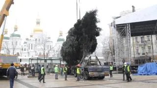 Главная елка страны - 2014