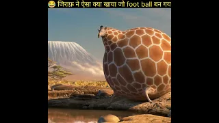 जिराफ़ ने ऐसा क्या खा लिया#मोटा जिराफ#giraffe eat some#shorts#animation