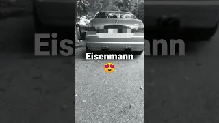 BMW E46 M3 Eisenmann raspy sound