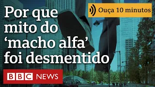 O mito do 'macho alfa', desmentido pelo homem que ajudou a popularizá-lo