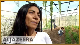 🇻🇪 Venezuelans turn to food production amid crisis | Al Jazeera English