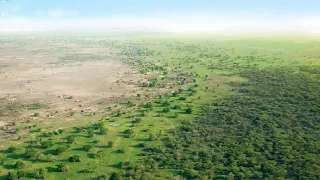 How Africa is Turning its Desert into a Great Green Wall Oasis - GREENING THE DESERT PROJECT