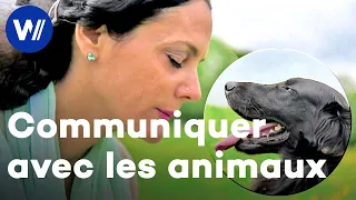 Dans la peau des animaux - Comment décoder leur langage et leurs émotions