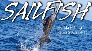 Florida's Sailfish Bite Is On Fire! Don't Miss Out On The Action - S20 E1