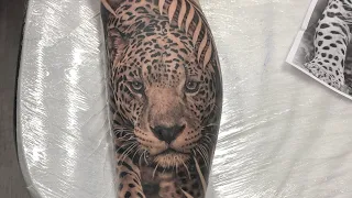 Jaguar Tattoo -Time Lapse and Real Time , Black and Grey Tattoo ,Realistic  Animal Tattoo on the Leg