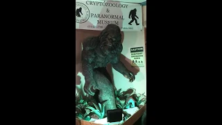 cryptozoology  Museum