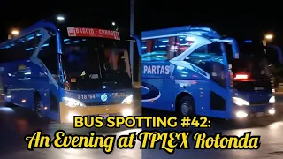 BUS SPOTTING #42: An Evening at TPLEX Rotonda