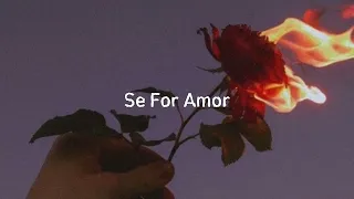 João Gomes, Vitor Fernandes- Se For Amor | Versão Bia Marques (speed up)