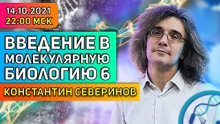 Константин Северинов. Введение в молекулярную биологию: Антитела и антигены