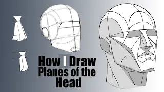 How I Draw the Planes of the Head