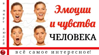 ЭМОЦИИ И ЧУВСТВА ЧЕЛОВЕКА.