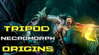 The Tripod Necromorph Explained | Dead Space 2 | Elevator, Sounds, Anatomy, Origins, and Lore