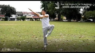 Five Stance Form 五步拳 (Wu Bu Quan) - Kung Fu Wushu Changquan