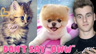 Try Not To Say "Aww" (Impossible Challenge)