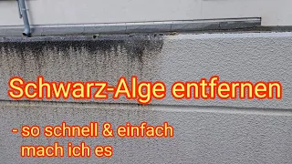 Schwarzalgen von Haus-Fassade und Garage entfernen - so schnell & einfach mach ich es