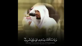 Beautiful Recitation | Sheikh Yasser al Dossary | Surah Baqarah