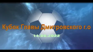 Кубок Главы Дмитровского г. о. по футболу (14 июня 2022)  (2009-2010 г.рождения)