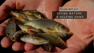 Carp Fishing - Growing Baby Carp - Giving Nature A Helping Hand