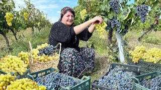 Grandma Makes Compote & Jam by Harvesting Grapes: You Can Store It for 1 Year!