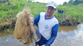 RIACHOS ABAIXO DOS COLATINO COMEÇOU SECARTEM PEIXE DE TODOS OS TAMANHOS