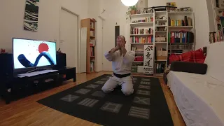 (Nearly) whole "Aikido virtual & live" class (3): tekubi undo, auto-massage, ikkyo, kokyu-ryoku